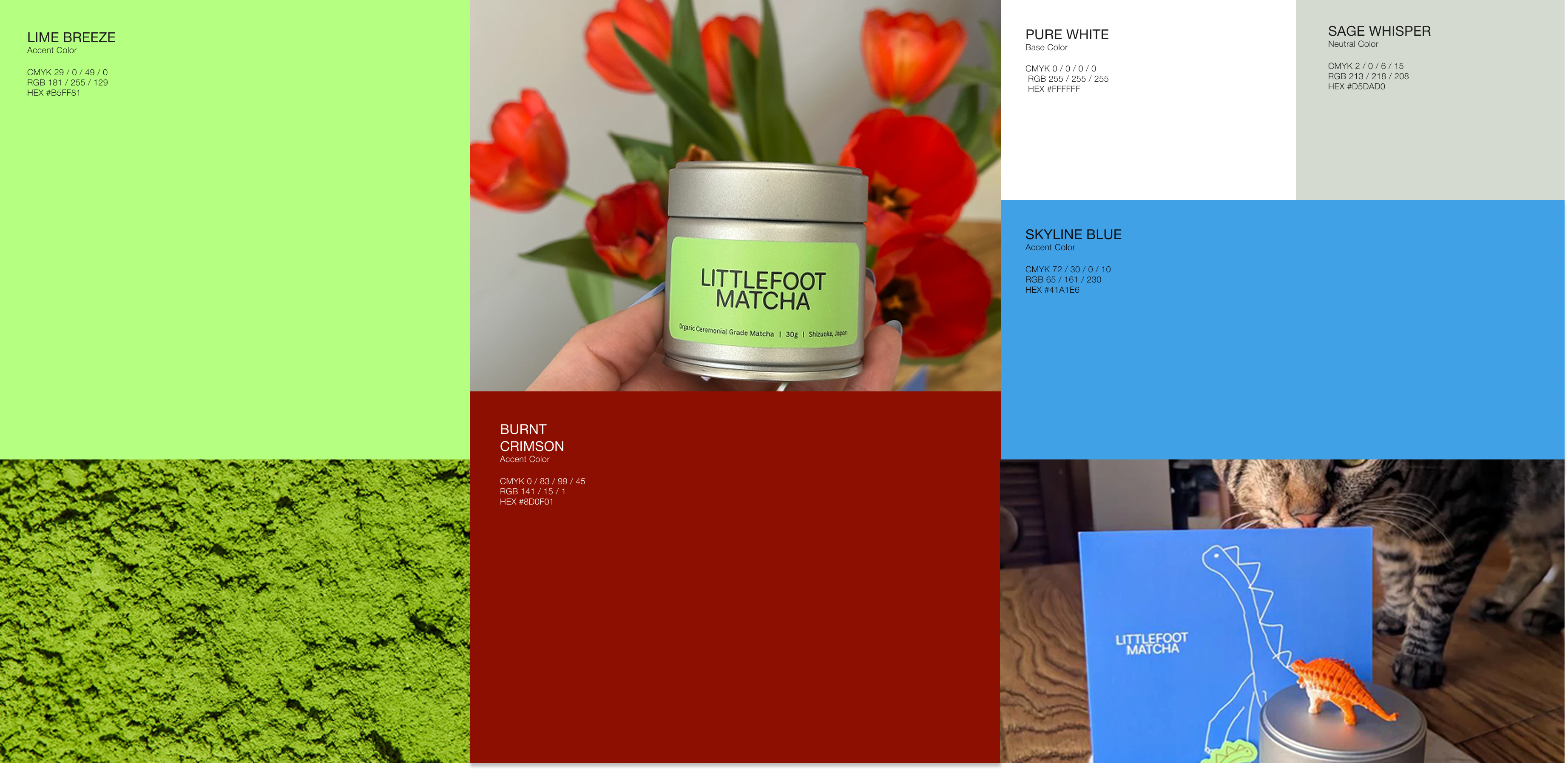 files/Frame_1411067646.png