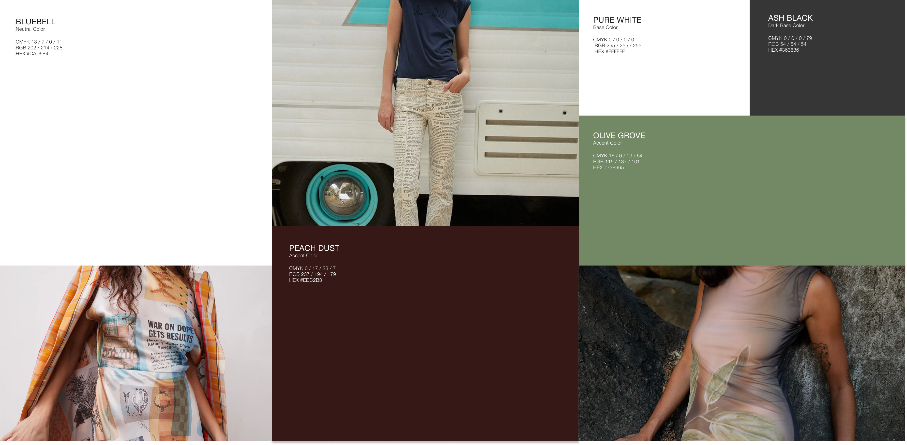 files/Frame_1411067648.png